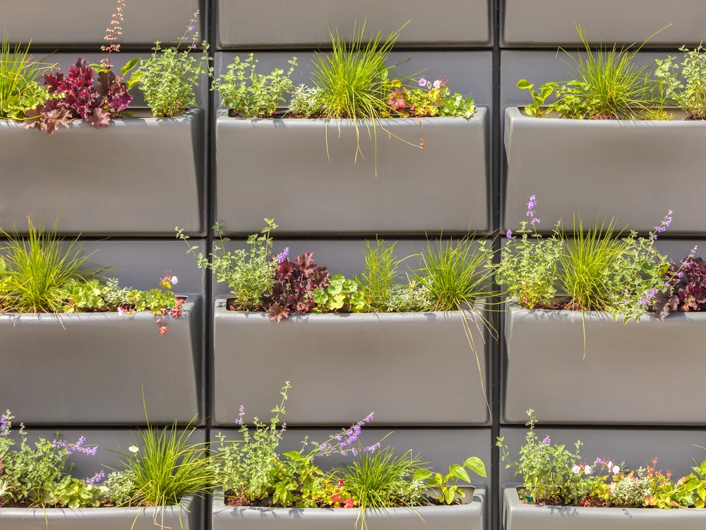 Muur met plastic bakken gevuld met planten in verticale tuin