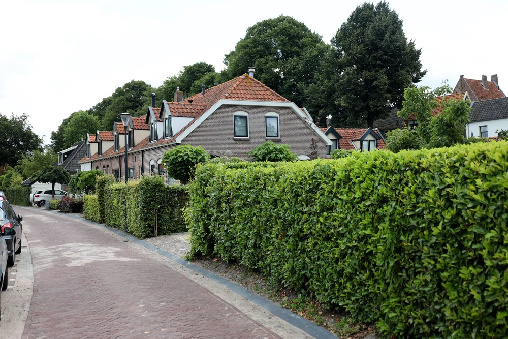 hagen in de voortuin van rijtjeshuis