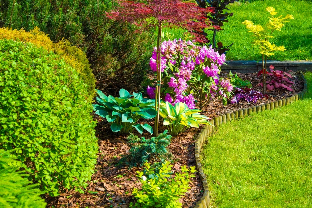 Landelijke tuin vol kleurrijke bloemen