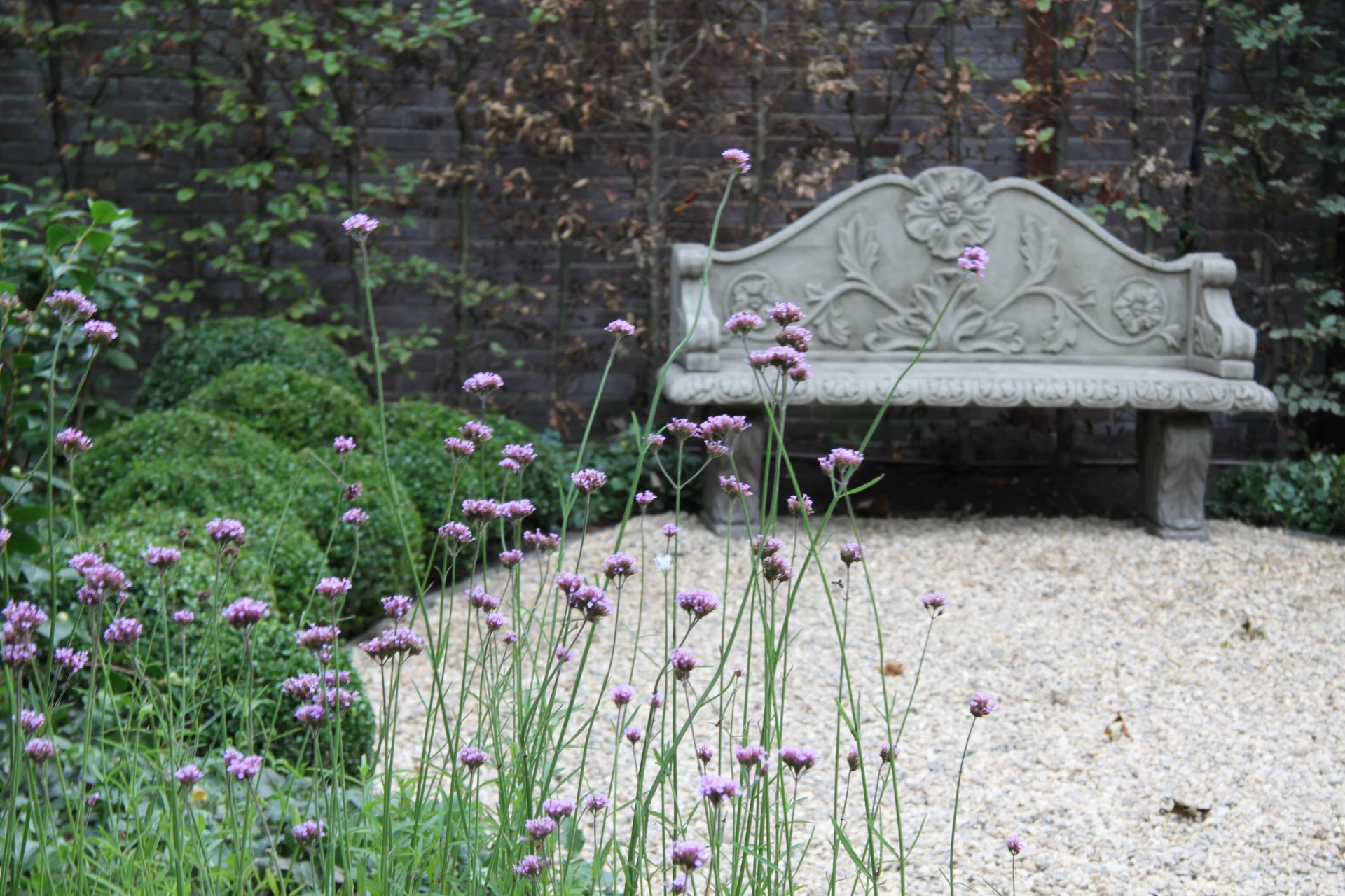 Onderhoudsvriendelijke tuin