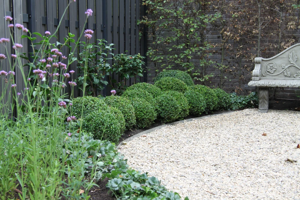 onderhoudsarme tuin met bankje en groen